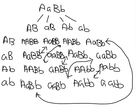 How It Works
